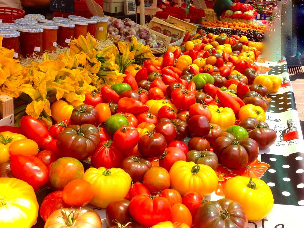 Appartamento French Riviera Nizza